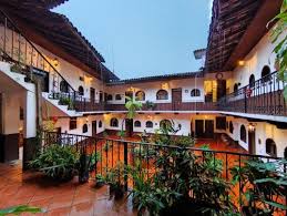 SUITE BROMELIAS