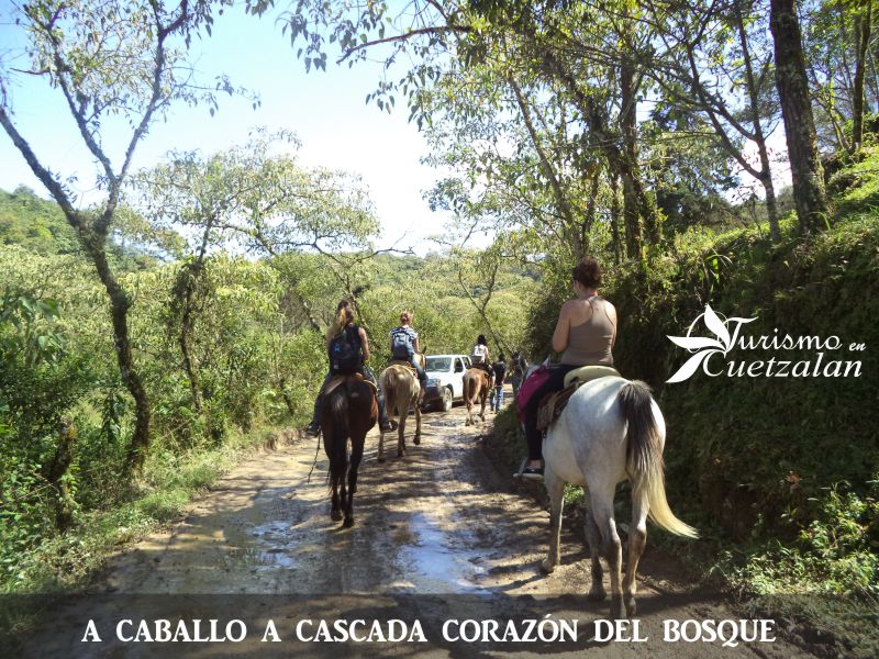 Paquete 3 - A caballo a cascada cola de caballo